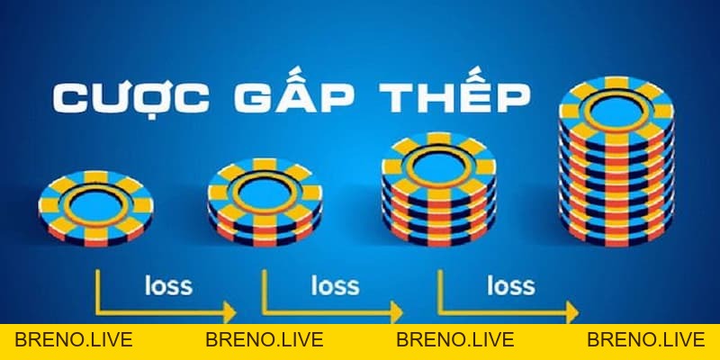 Cược gấp thếp là gì – Chiến thuật cược hiệu quả cho bạn
