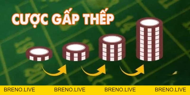 Cược gấp thếp là gì – Chiến thuật cược hiệu quả cho bạn